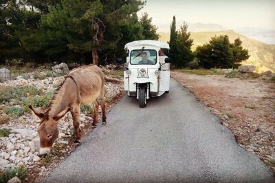 E-Tuk Tuk Tour in Dubrovnik - Stop 1: Franjo Tudman Bridge Photos and Croatia 101