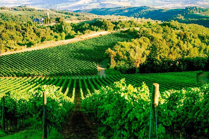 Exclusive Private Tuk-Tuk Tour: Visit to a Sardinian Winery - Should You Book It?