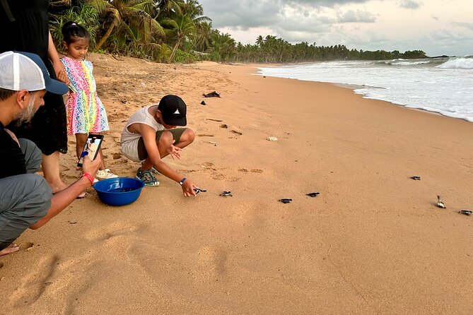Explore Bentota Village: Guided Tuk Tuk Safari - Price and Value: What $48 Gets You in Real Terms