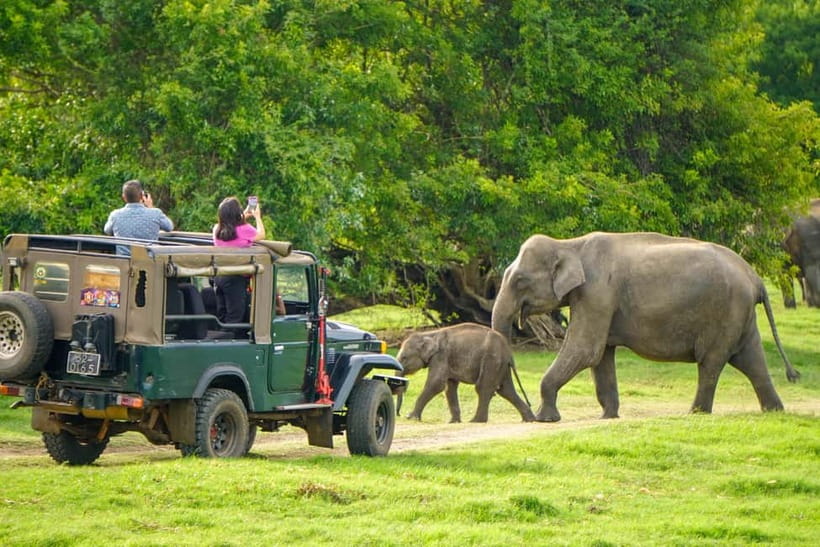 From Dambulla, Sigiriya: Polonnaruwa Tuk Tuk Day Tour - Price and value: is $37 a fair deal for a 7-hour private day?