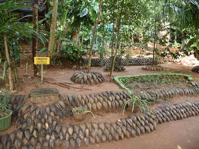 From Kandy: Sigiriya Guided Tuk-Tuk Tour - Matale Hindu Temple and the spice garden: culture before the climbs