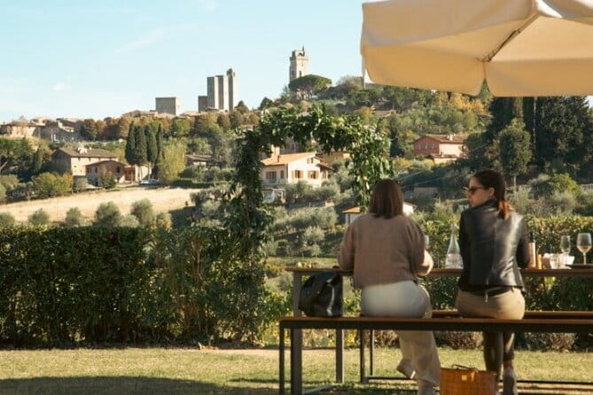 From San Gimignano: Tuscany Wine tour by Tuk Tuk with Lunch - The Return Through Vineyards and Olive Groves