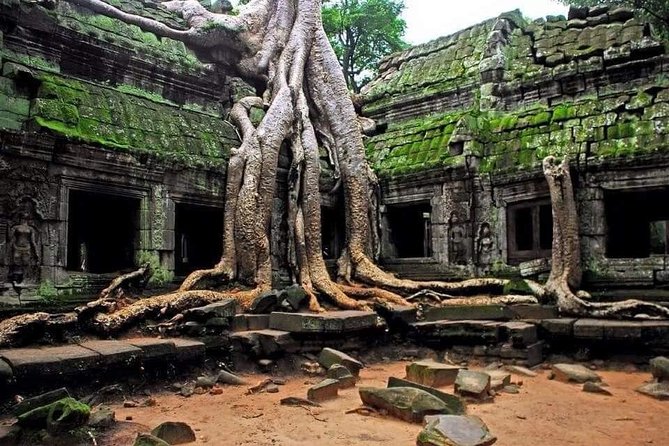 Full Day Angkor Complex by Tuk Tuk - (Optional Sunrise) - Stop 2: Ta Prohm and the tree-in-temple photo payoff