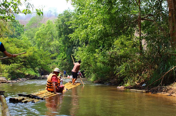 Full Day Chauffeur Driven Tuk Tuk Adventure in Chiang Mai including rafting - Elephants in Chiang Mai: Seeing and Learning Without Rushing