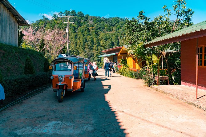 Full-Day Guided Tuk Tuk Chiang Mai Adventure and Rafting - Elephant feeding and bathing: the part you’ll remember