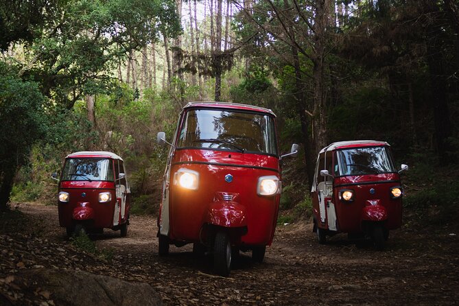 Full-Day Guided Tuk-Tuk Tour in Sintra - Colares wineries, Azenhas do Mar, and Praia da Adraga