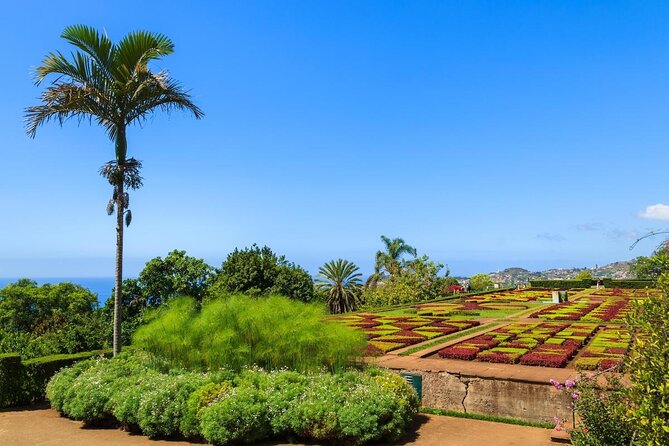 Full Day Madeira Island Private Discovery by Tuk Tuk - Key highlights