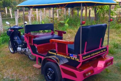 Full-Day Private Tuk Tuk Tour of Angkor Wat Temples - Ta Prohm in about an hour: the movie ruins, in real life