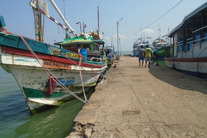 Fun and Scenic Negombo Tour by Tuk Tuk - Negombo Fish Market: beach-front reality, not a staged show