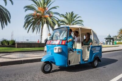 Funchal: 2-Hour Tuk-Tuk Tour with Cable Car Finale - Pico dos Barcelos Lookout: Big Views With Minimal Effort