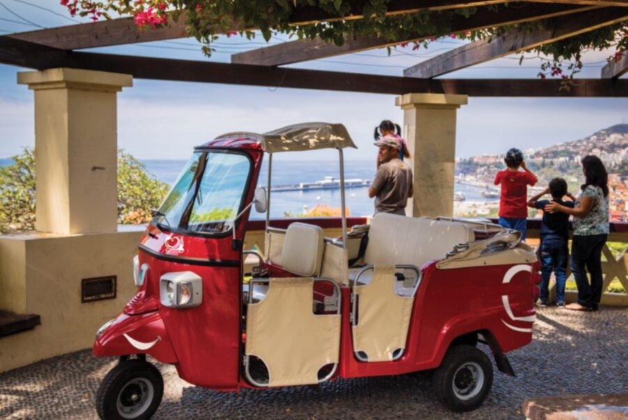 Funchal at Night Private Tour by Tuk Tuk - São Pedro and the Cathedral Area: Getting Oriented North of the Main Action