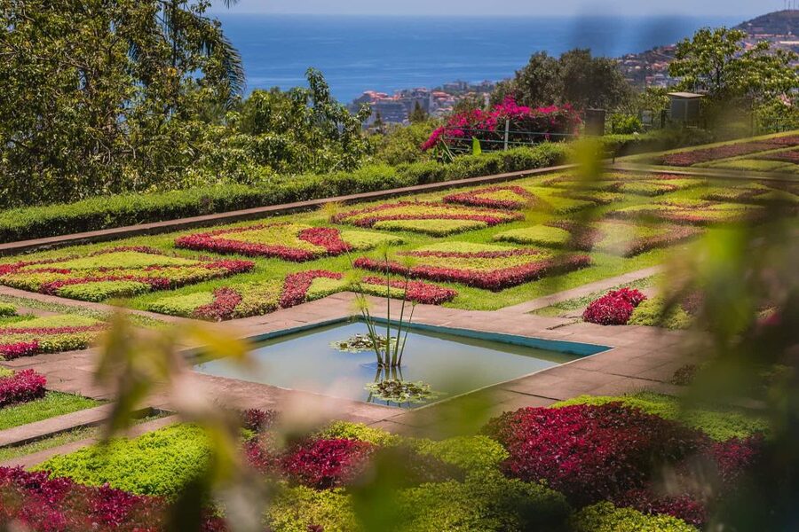 Funchal: Botanical Garden and Old Town Private Tuk-Tuk Tour - Why Funchal Works Best by Tuk-Tuk