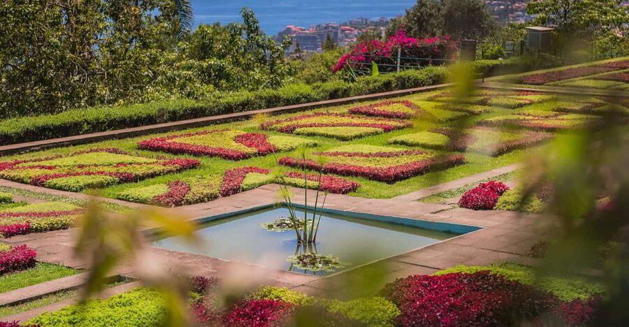 Funchal: Botanical Garden and Old Town Private Tuk-Tuk Tour - Stepping Into Zona Velha: The Old Town Like a Local Would