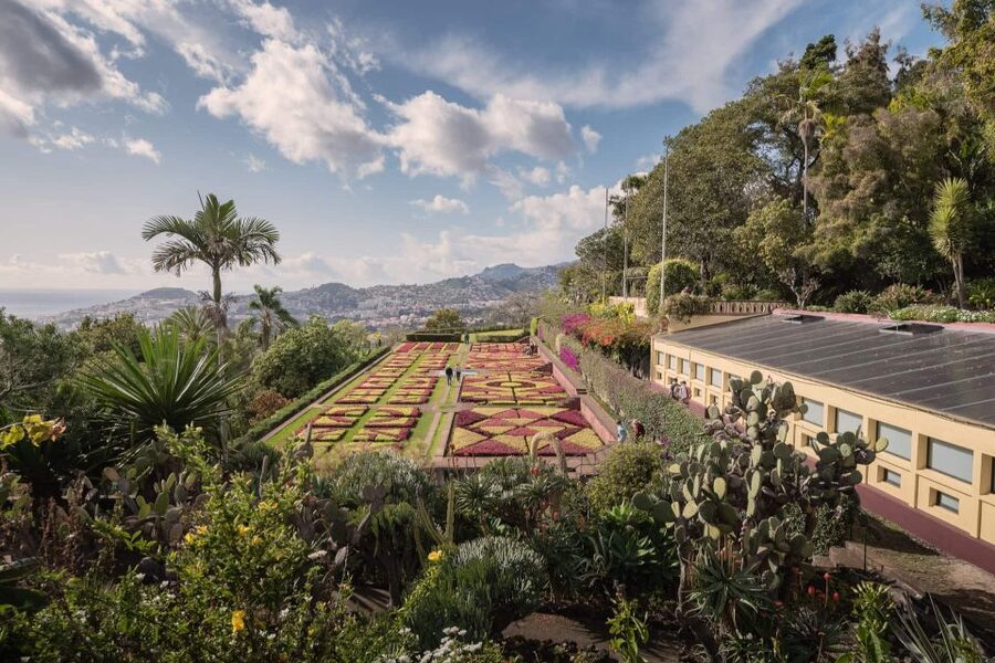 Funchal: Botanical Garden and Old Town Private Tuk-Tuk Tour - Should You Book This Funchal Botanical Garden and Old Town Tuk-Tuk Tour?