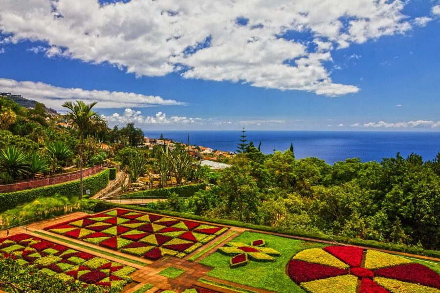 Funchal: Botanical Garden and Old Town Private Tuk-Tuk Tour - Bom Sucesso Botanical Garden: Plants, History, and a Museum Stop