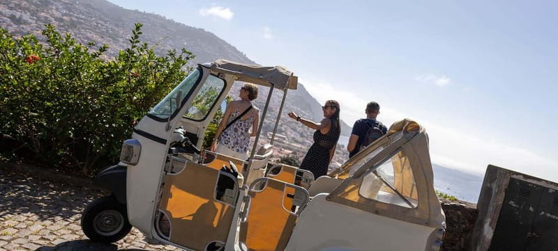 Funchal: Botanical Garden & Old Town Tour by TukTuk (1h45) - Should you book this Funchal TukTuk Botanical Garden tour?