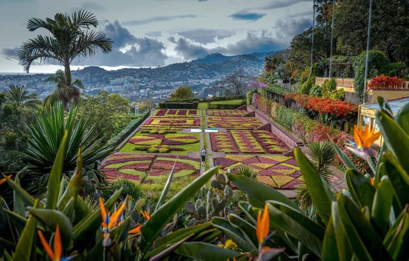 Funchal: Botanical Garden & Old Town Tour by TukTuk (1h45) - Old Town scenic drive: quick orientation, good photo timing