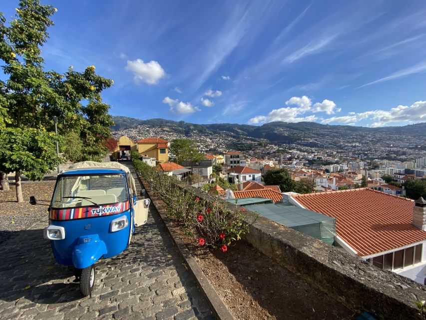 Funchal: City Highlights Tuk-Tuk Tour - Why Funchal Fits a Tuk-Tuk Tour So Well