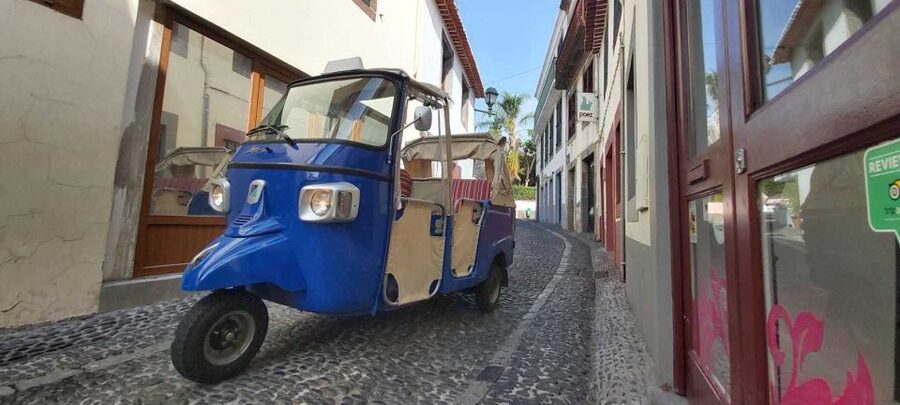 Funchal: Guided City Tuk-Tuk Tour - Fortress of São João Baptista do Pico: The Hilltop Payoff