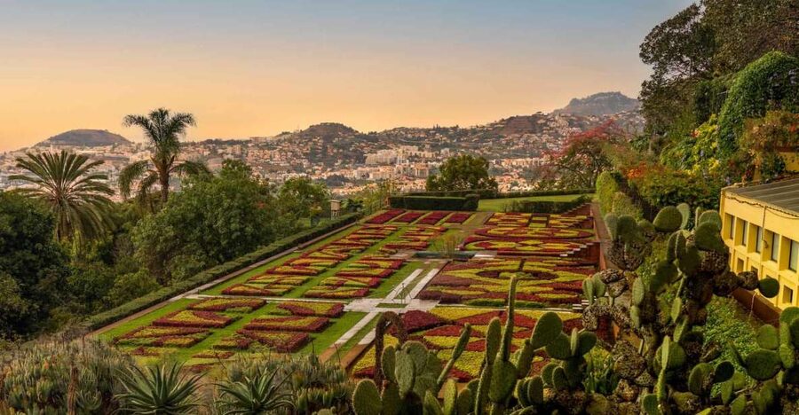 Funchal: Guided Old Town Tuk Tuk Tour and Botanical Gardens - A tuk tuk shortcut to Funchal’s tight lanes and steep climbs