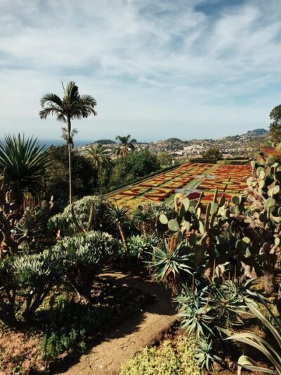 Funchal: Guided Old Town Tuk Tuk Tour and Botanical Gardens - Old Town driving route: cathedral stops and market energy