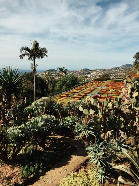 Funchal: Guided Old Town Tuk Tuk Tour and Botanical Gardens - Old Town driving route: cathedral stops and market energy