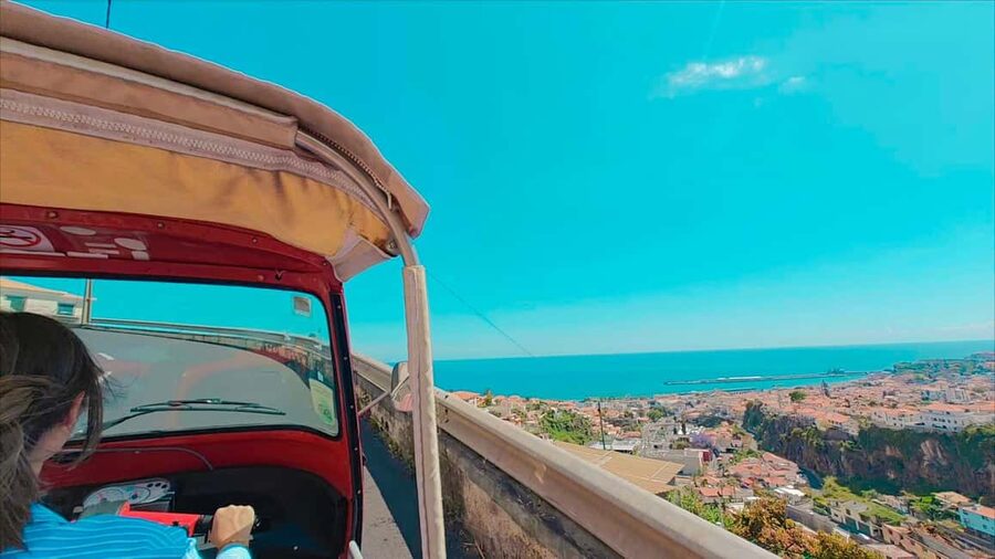 Funchal: Madeira Botanical Garden Private Tuk-Tuk Tour - Price and Value: Is $40 a Good Deal?