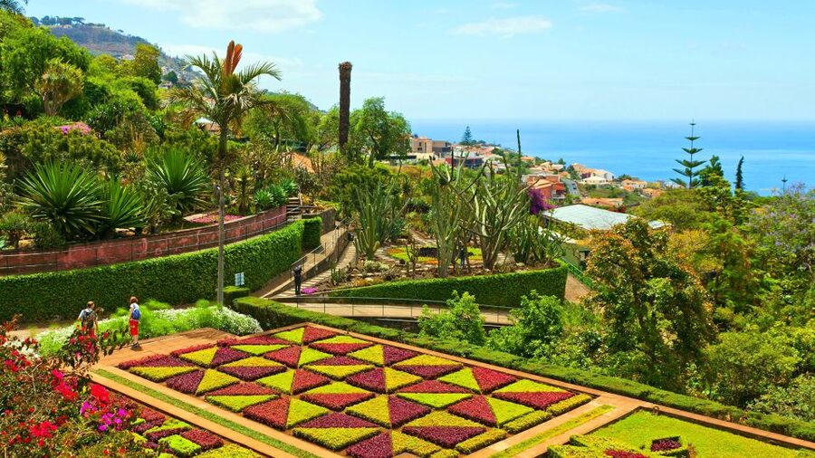 Funchal: Madeira Botanical Garden Tuk-Tuk Tour + Old Town - Why a tuk-tuk works so well in Funchal