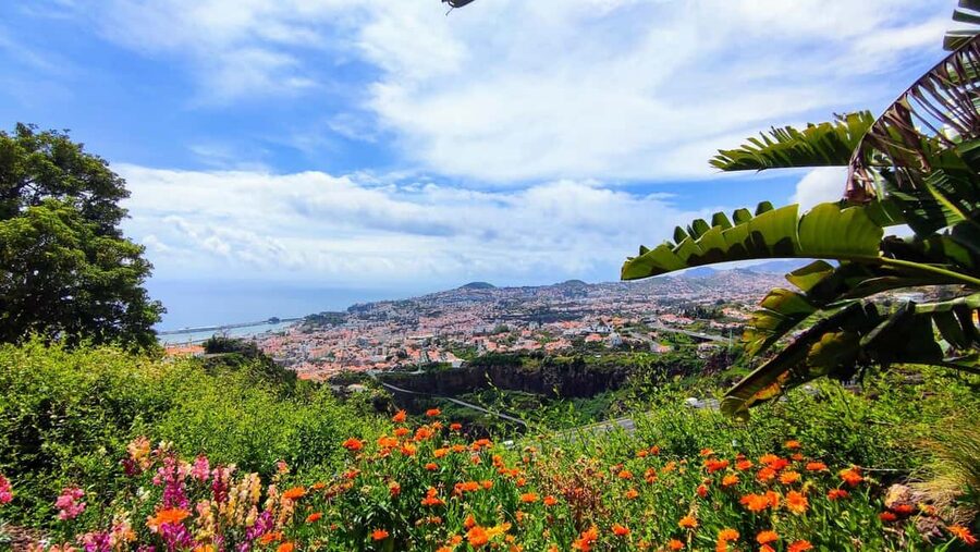 Funchal: Madeira Botanical Garden Tuk-Tuk Tour + Old Town - Old Town pass-by: Farmers’ Market and Zona Velha