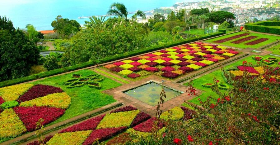 Funchal: Madeira Botanical Garden Tuk-Tuk Tour + Old Town - Price and logistics: what $44 really buys (and what to double-check)