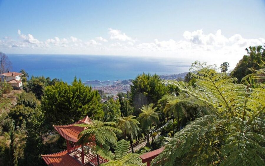 Funchal: Monte Palace Tropical Gardens Tuk Tuk Tour - Key things I’d circle on your map