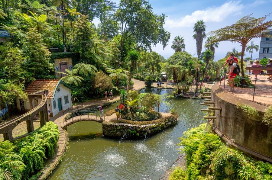 Funchal: Monte Palace Tropical Gardens Tuk Tuk Tour - Viewpoints and old town stops that actually help you plan
