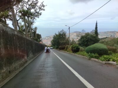 Funchal: Monte Toboggan and Old Town Tour by Tuk-Tuk - Old Town and Farmers Market: More Than Just Drive-By Views