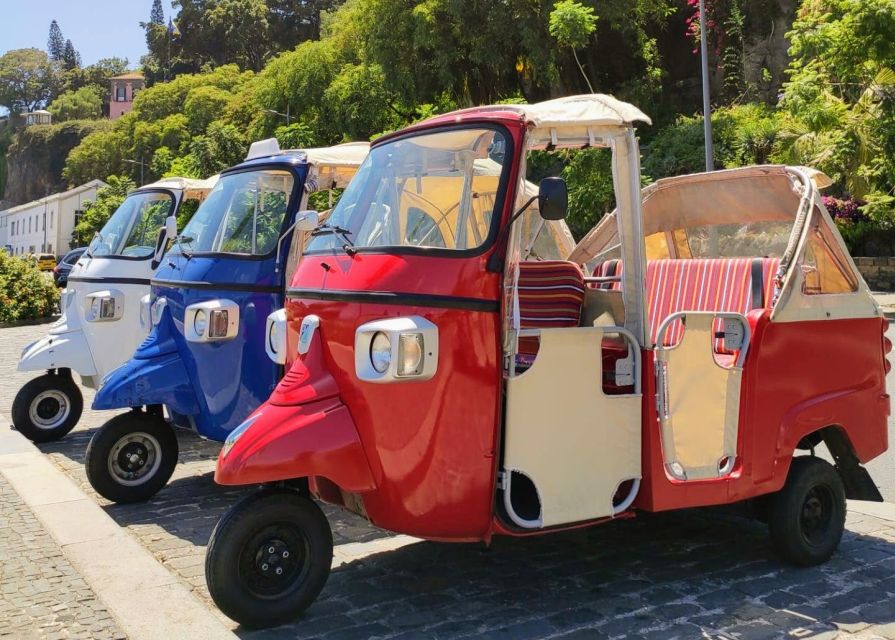 Funchal: Monte Toboggan and Old Town Tour by Tuk-Tuk - Stopping at Caminho do Monte 82: The Photo-Walk Moment