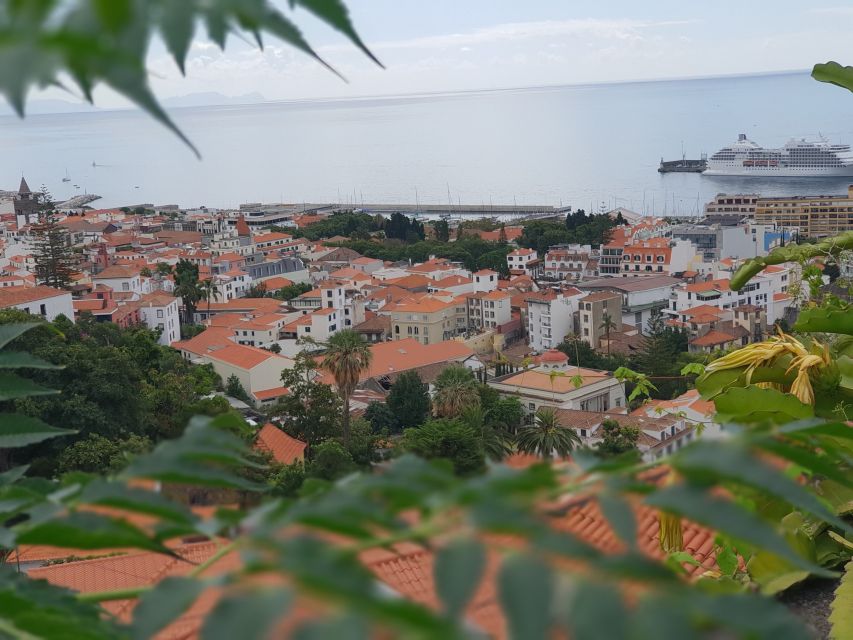 Funchal: Monte Toboggan and Old Town Tour by Tuk-Tuk - Time, Distance, and Getting Back to Funchal