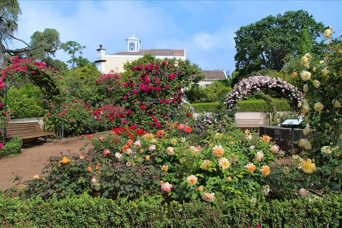 Funchal Old Town & Palheiro Gardens Private Tuk Tuk Tour - Palheiro Gardens: award-winning plant life and 200-year trees