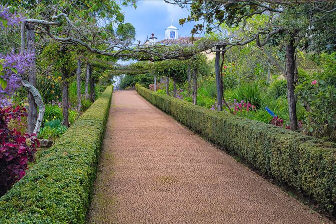 Funchal Old Town & Palheiro Gardens Private Tuk Tuk Tour - Price and logistics: what you’re really paying for