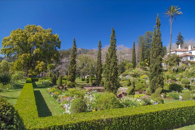 Funchal Old Town & Palheiro Gardens Private Tuk Tuk Tour - Who should book this tuk tuk garden tour (and who should skip it)