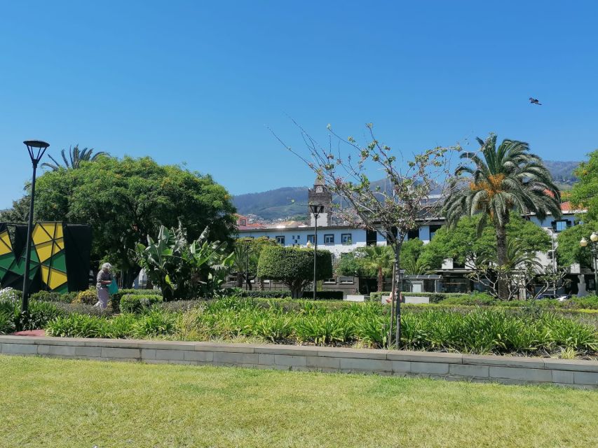 Funchal: Private Guided Tour of Historic Center by Tuk Tuk - Key highlights worth planning around