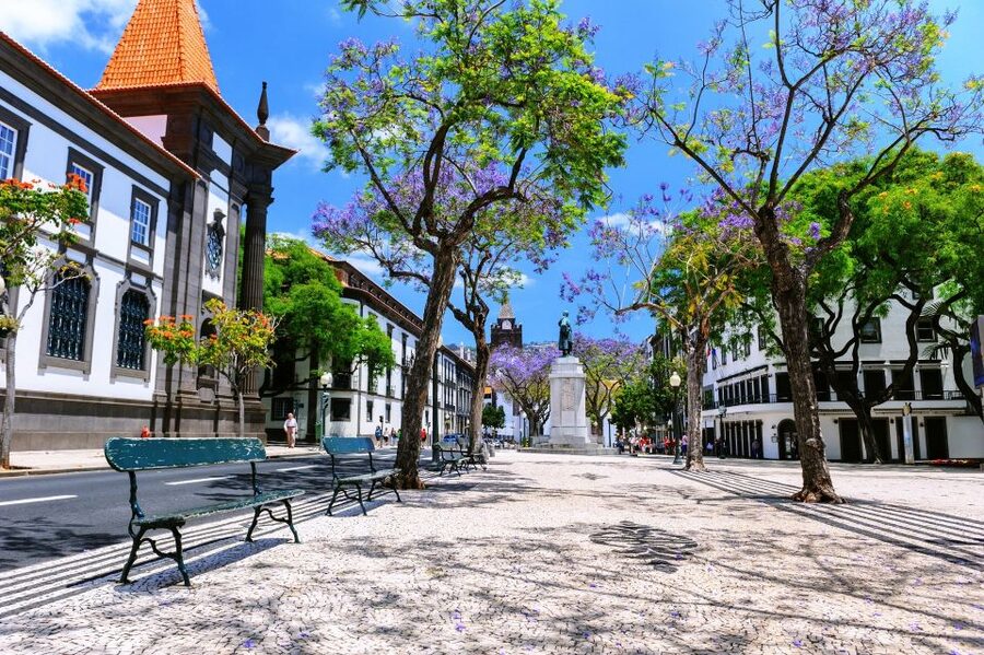 Funchal: Private Guided Tour of Historic Center by Tuk Tuk - Who this tour is best for (and who should pick something else)