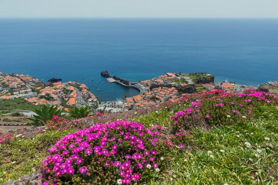 Funchal: Private Tuk-Tuk Tour to Cabo Girão Cliff - Skywalk - Key points that make this tour worth your time