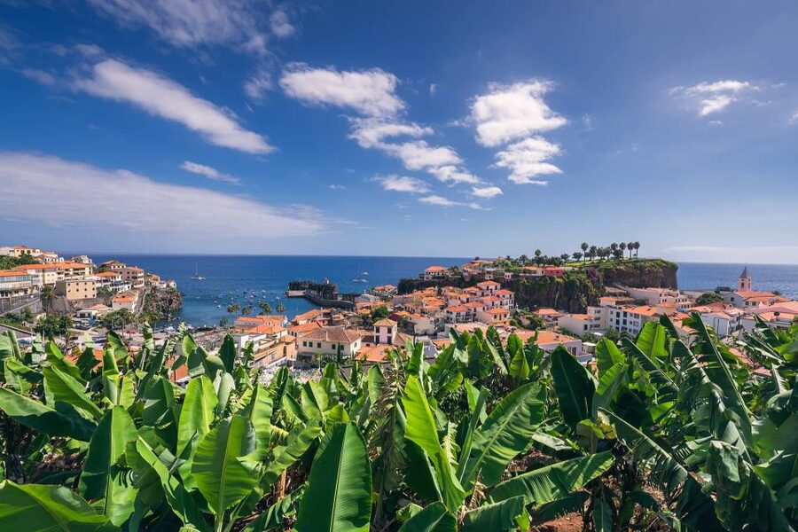Funchal: Private Tuk-Tuk Tour to Cabo Girão Cliff - Skywalk - Who this tour fits best (and who might not love it)