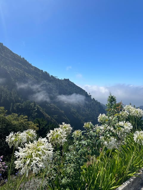 Funchal: Valley of the Nun’s tour by tuk tuk - Key points before you go