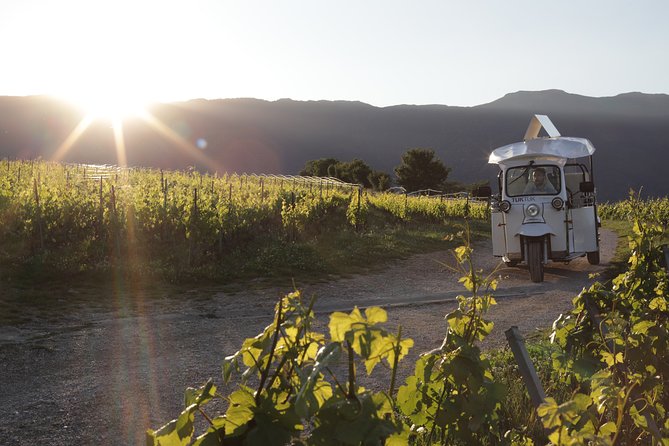 Geneva Panoramic & Tasting Vineyards Tour in an Tuk Tuk - Geneva by eTukTuk: what the ride actually gives you