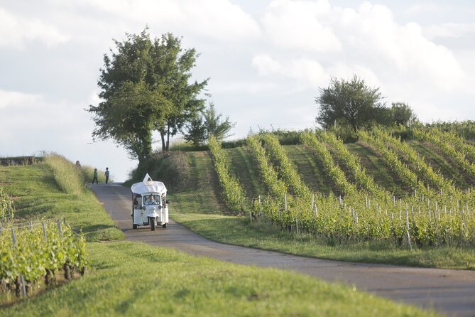 Geneva Panoramic & Tasting Vineyards Tour in an Tuk Tuk - How long this takes—and how to plan your day in Geneva