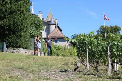 Geneva Panoramic & Tasting Vineyards Tour in an Tuk Tuk - Guides and the countryside stories: where the tour really gets good