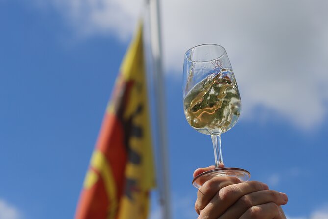 Geneva Panoramic & Tasting Vineyards Tour in an Tuk Tuk - Price and logistics: is $329.43 worth it for you?