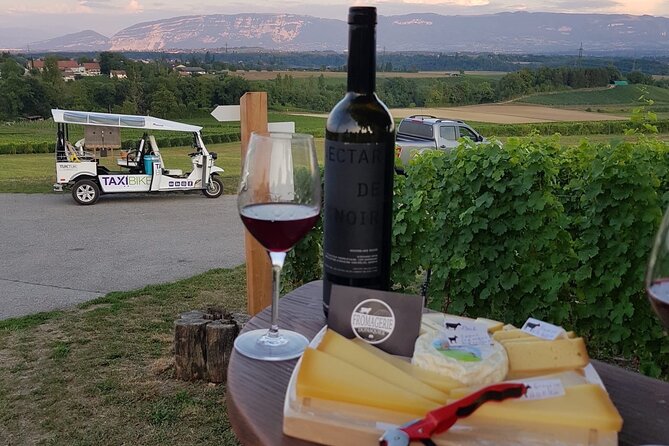 Geneva Panoramic & Tasting Vineyards Tour in an Tuk Tuk - Should you book? My honest take