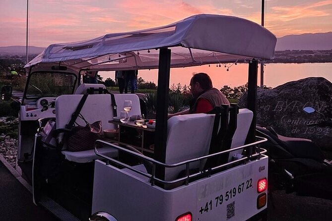 Geneva: Sightseeing of top Places Tour Electric TukTuk 1H15 tour - Lake Geneva in Motion: What You’ll See and Why It’s Worth It