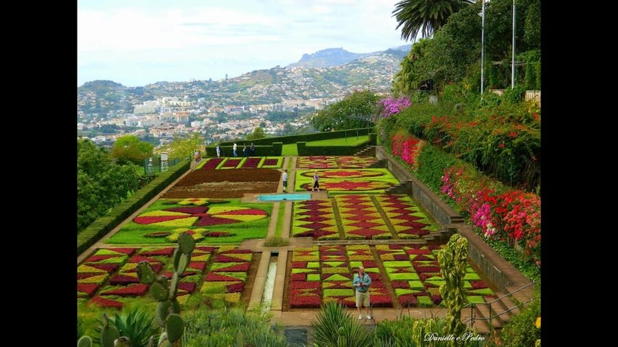 Guided Tuk-Tuk Tour to Botanical Garden (From Funchal) - Tuk-Tuk to the Botanical Garden: The Real Value Is the Views + Context